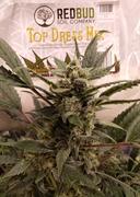 Redbud Soil Company Top Dress Mix For No-till Living Soil 5lb. Review