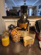 Kuvings Whole Slow Juicer EVO820 Review