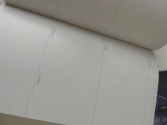 Cognitive Surplus Brain Anatomy Yearly Planner Review