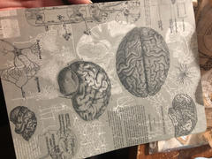Cognitive Surplus Brain Softcover Notebook - Dot Grid Review