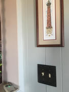 Wallplate Warehouse English Garden Brushed Brass Cast - 1 Toggle Wallplate Review