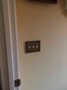 Wallplate Warehouse English Garden Brushed Brass Cast - 3 Toggle Wallplate Review