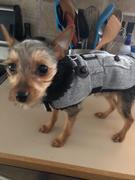 DinkyDogClub Grey Herringbone Dog Coat with Matching Leash Review