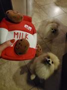 DinkyDogClub Zippy Paws Santa's Milk and Cookies Plush Dog Toy Review