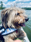 DinkyDogClub Paws Aboard Dog Life Jacket - Nautical Theme Review