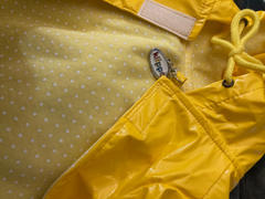 DinkyDogClub Klippo Splashing Whale Small Dog Raincoat Review
