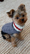 DinkyDogClub Dallas Dogs Preppy Pup Dog Sweater Review
