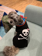 DinkyDogClub Dallas Dogs Jolly Roger Skull with Pink Bow Dog Sweater Review