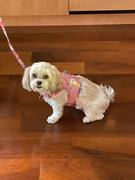 DinkyDogClub Cool Mesh Dog Harness - Pink Hawaiian Floral Review