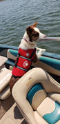 DinkyDogClub Paws Aboard Dog Life Jacket - Red Review
