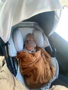 Orbit Baby G5 Merino Wool Infant Car Seat Liner Review