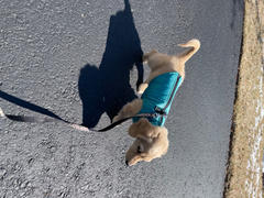 Gooby Puffer Vest Review