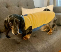 Gooby Half Stretch Fleece Vest Review