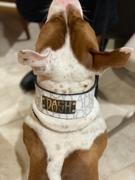 Pit Bull Gear NJ11 - 2 1/2 Name Plate Leather Dog Collar Review