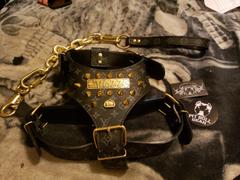 Pit Bull Gear NH8 - Name Plate Cone Spiked Leather Harness Review