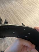 Pit Bull Gear NJ2 - 2 1/2 Name Plate Spiked Collar Review