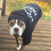 Pit Bull Gear DOG HOODIE'S - CHOOSE SAYING Review