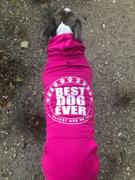 Pit Bull Gear DOG HOODIE'S - CHOOSE SAYING Review