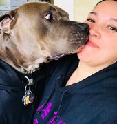 Pit Bull Gear PIT BULL MOM - MIDWEIGHT PULLOVER HOODED FLEECE Review