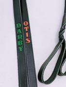 Pit Bull Gear Hand Painted Name 1 Twisted Latigo Leather Dog Leash Review