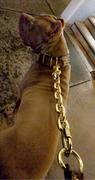 Pit Bull Gear Super Heavy Silver Chain Lead w/Loop Leather Handle - 30 Review