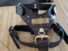Pit Bull Gear NH8 - Name Plate Cone Spiked Leather Harness Review