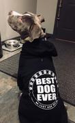 Pit Bull Gear I'M A LOVER NOT A FIGHTER - ZIPPER DOG HOODIE Review