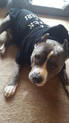 Pit Bull Gear BAN STUPID PEOPLE NOT DOGS - ZIPPER DOG HOODIE Review