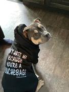 Pit Bull Gear DON'T HATE ME BECAUSE YOU'RE A DOUCHEBAG - ZIPPER DOG HOODIE Review
