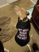 Pit Bull Gear DON'T HATE ME BECAUSE YOU'RE A DOUCHEBAG - ZIPPER DOG HOODIE Review