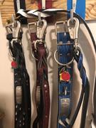 Pit Bull Gear Dual Handle Twisted Leather Leash Review