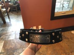 Pit Bull Gear WN1 - 2 Name Plate Cone Studded Leather Dog Collar Review