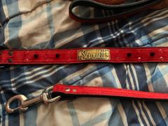 Pit Bull Gear Leather Leash w/O-Ring at Loop Handle Review