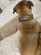 Pit Bull Gear Leather Leash w/O-Ring at Loop Handle Review