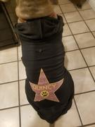 Pit Bull Gear HOLLYWOOD WALK OF FAME (YOUR DOG) - ZIPPER DOG HOODIE Review