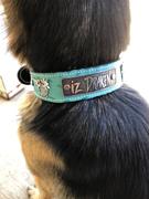 Pit Bull Gear V30 - 1 1/2 Name Plate Dragons & Gems Leather Collar Review