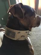 Pit Bull Gear NJ2 - 2 1/2 Name Plate Spiked Collar Review