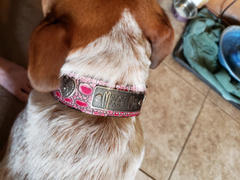 Pit Bull Gear VN2 - 1 1/2 Personalized Hearts, Flowers & Gems Leather Collar Review
