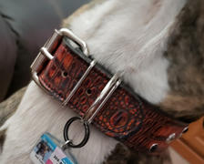 Pit Bull Gear VN2 - 1 1/2 Personalized Hearts & Gems Leather Collar Review