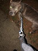 Pit Bull Gear Heavy Chain Lead with Leather Handle - 30 Review