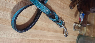 Pit Bull Gear Twisted Leather Leash Review