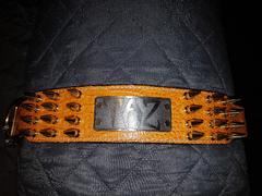 Pit Bull Gear NJ10 - 2.5 Name Plate Spiked Leather Collar Review