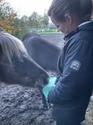 Nordichorse.dk Nordic Sea Salt Block - Breathe (grøn) Review