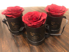 Rose Forever  Set of 3 Mini Red Review