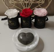 Rose Forever  Set of 3 Mini Mixed Bundle Review