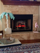 Modern Blaze Dimplex 23-Inch Deluxe Insert Electric Firebox (DFI2310) Review