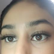 BD Lashes Rome Review