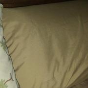 Southshore Fine Linens Vilano Springs 2-Piece Pillow Cases Review