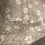 Southshore Fine Linens Mystic Garden Quilt Set Review