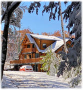 Twin Creeks Log Home Supply Sikkens Proluxe Cetol Log & Siding Stain Review